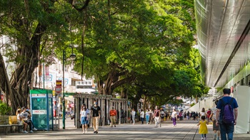  Haiphong Road and Nathan Road